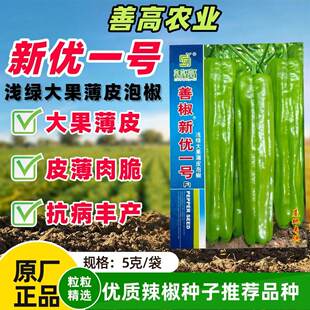 善高善椒新优一号辣椒种子早中熟薄皮泡椒种籽黄绿皮长灯笼型辣椒