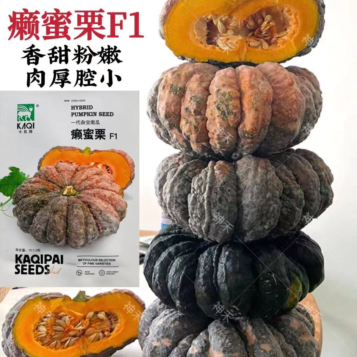 卡其牌癞蜜栗南瓜种子杂交一代南瓜种籽嫩瓜老瓜两用种香甜粉嫩