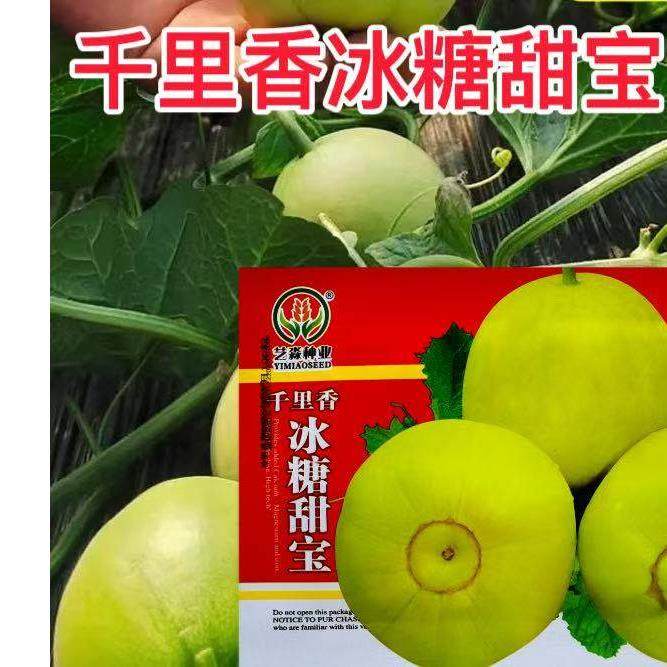 冰糖甜宝甜瓜种子家庭水果高糖香甜香瓜阳台盆栽蔬菜种子春季播种,农用物资,蔬菜种子/种苗,淘宝优惠券,粉丝福利购,淘宝优惠卷