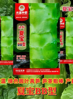 种都夏宝BB型莴笋种子耐热绿色圆叶莴笋种籽农家四季莴苣蔬菜种孑