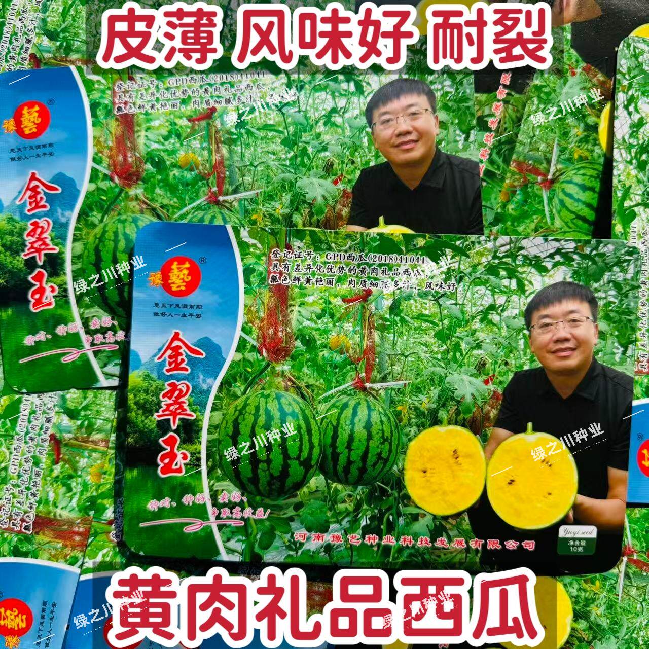 金翠玉西瓜种子皮薄黄肉黄肉奶油西瓜种子礼品西瓜种籽采摘园
