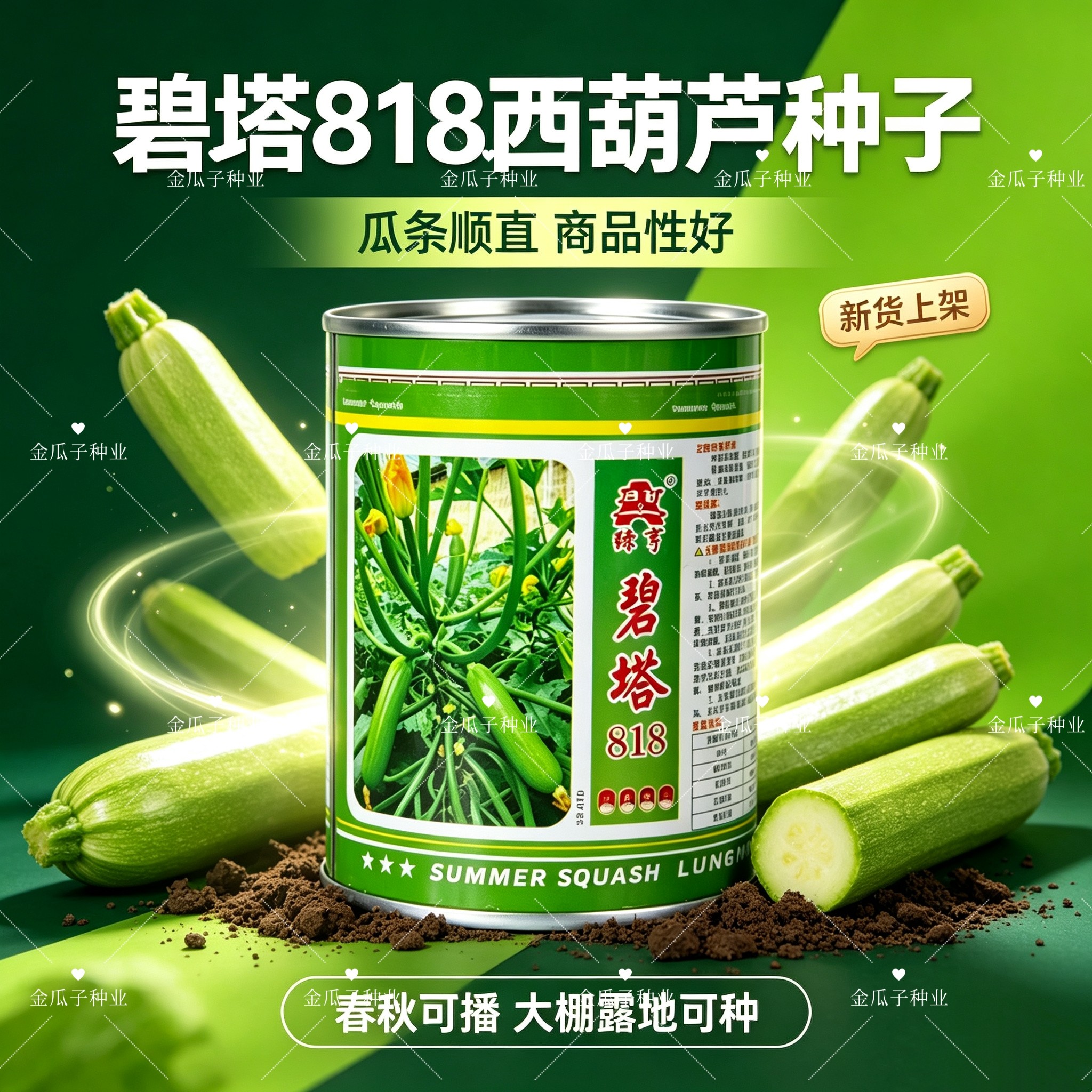 碧塔818西葫芦种子中早熟翠绿油亮西葫芦种子耐低温冬春季温棚种