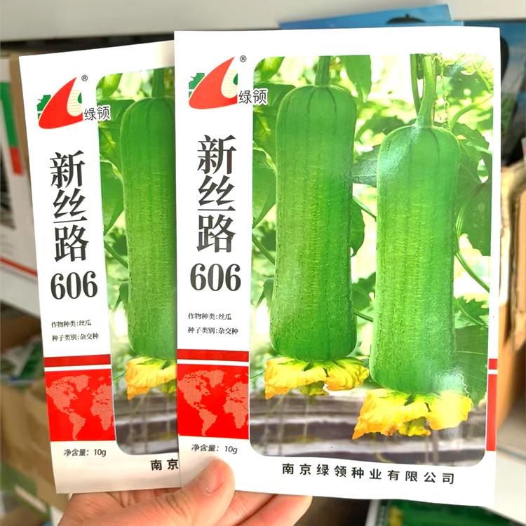新丝路606丝瓜种子中熟青绿皮短棒丝瓜种籽春夏季短丝瓜种子