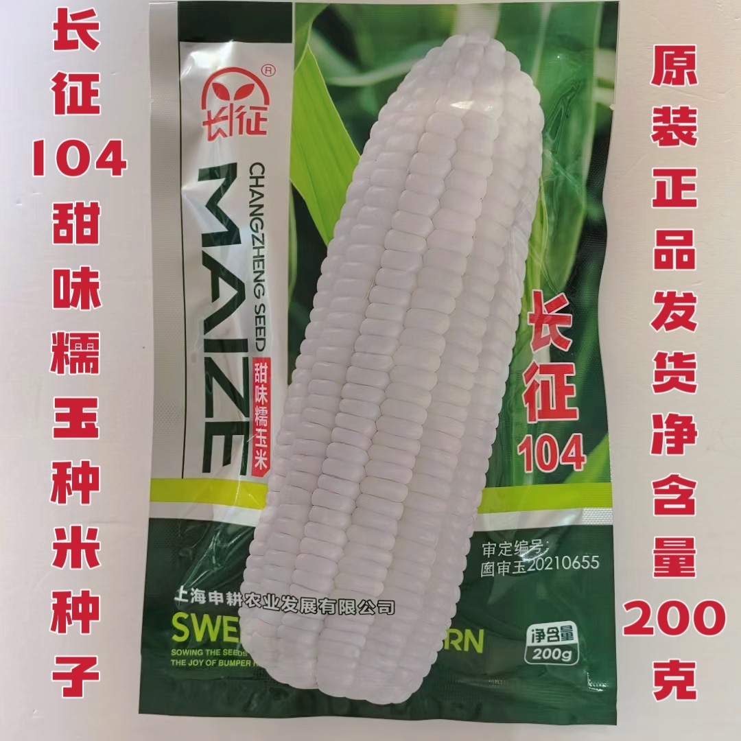 长征104甜味糯玉米种子鲜食白糯国审玉米种子春秋播甜糯玉米种籽