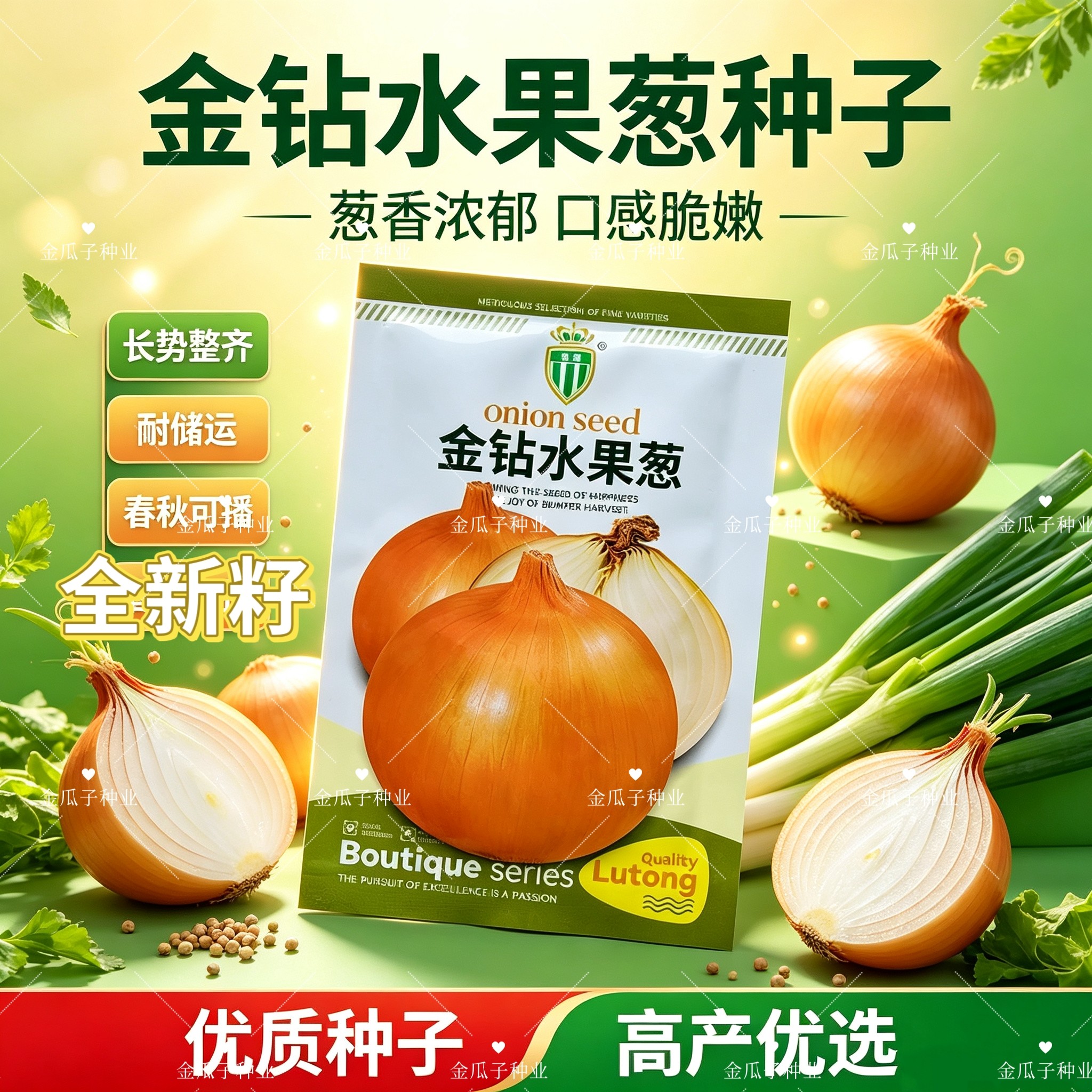 金钻水果洋葱种子国外引进黄皮金钻圆葱种籽生吃甜脆微辣优质抗病