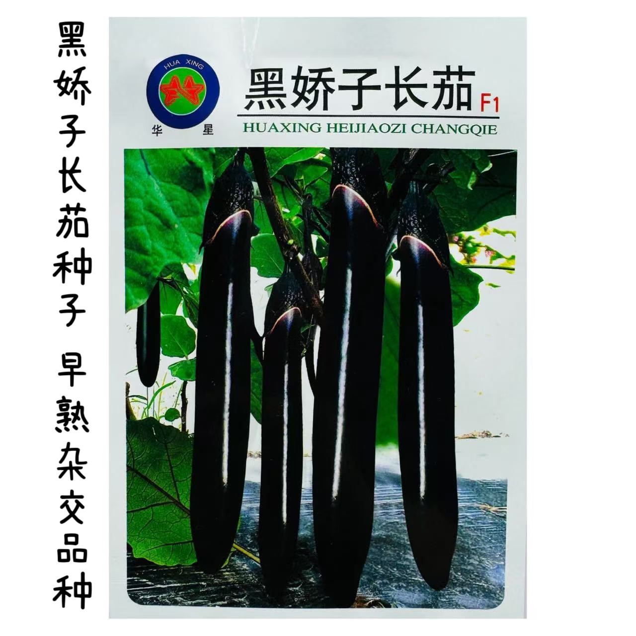 黑娇子长茄种子早熟杂交长茄种籽春秋播丰产抗病蔬菜种籽茄子种孑