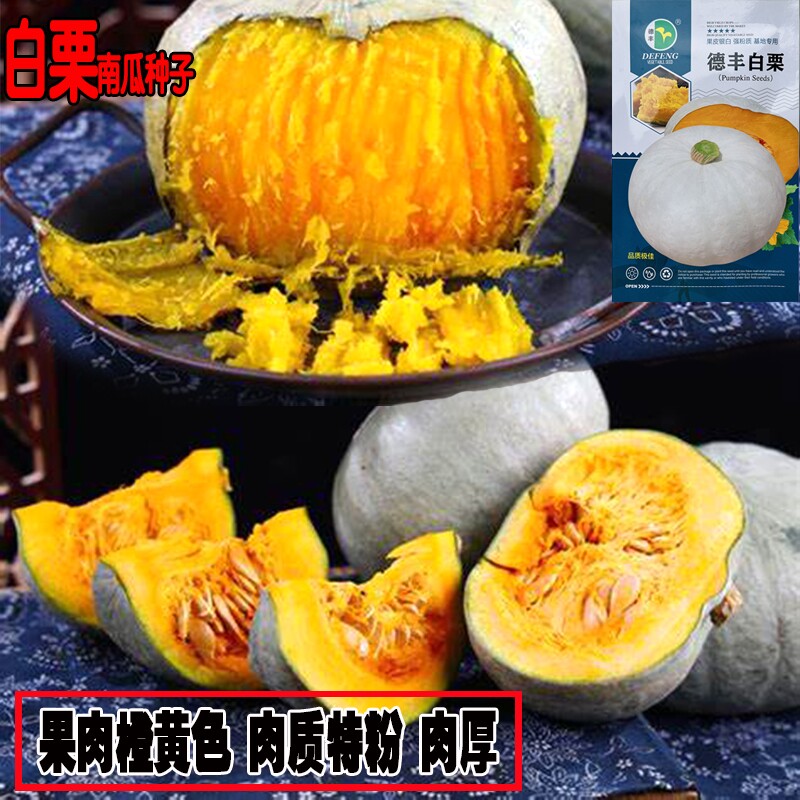 德丰白栗南瓜种子春播中熟厚扁圆形银白皮橙黄肉粉质银栗南瓜种子