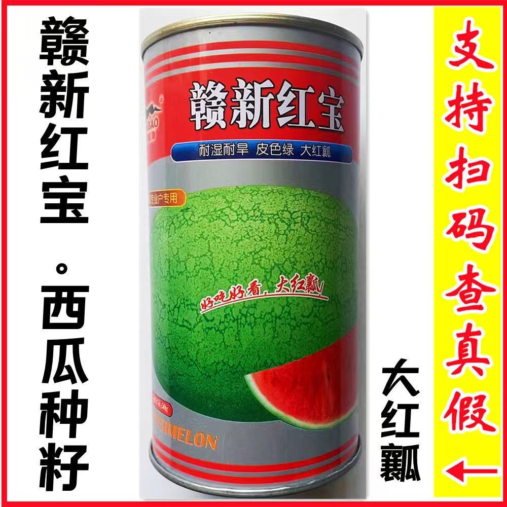 赣新红宝西瓜抗病脆甜高产耐裂