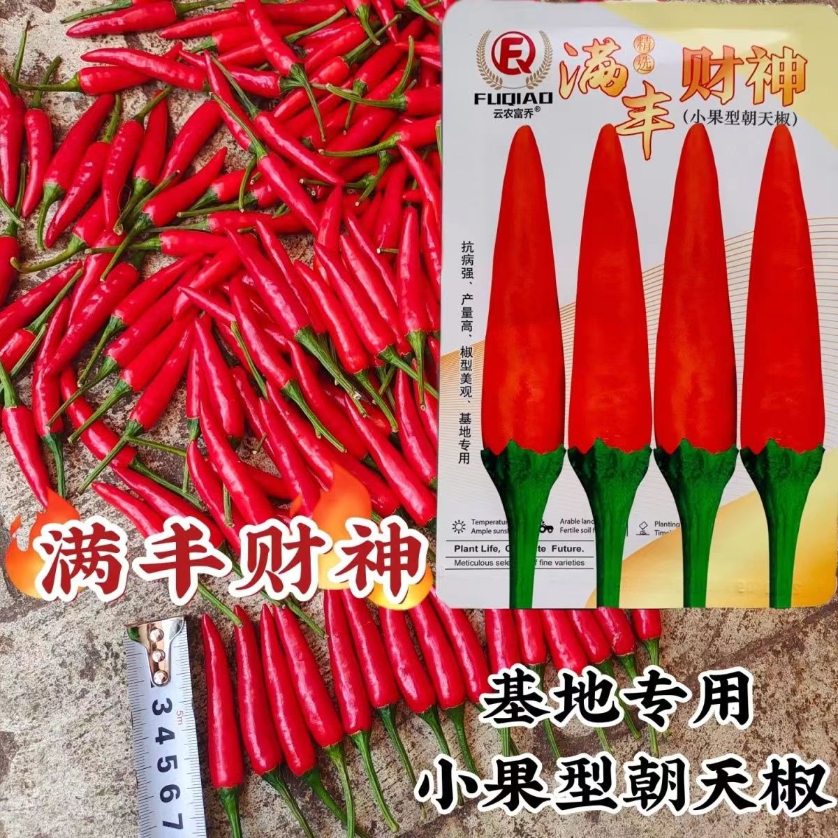 泰国满丰财神辣椒种子抗病高产小果朝天椒种籽春秋播辣椒种子