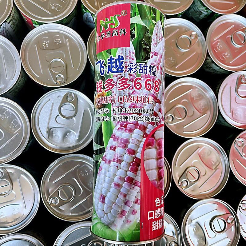 甜多多668彩甜玉米高产甜糯大棒