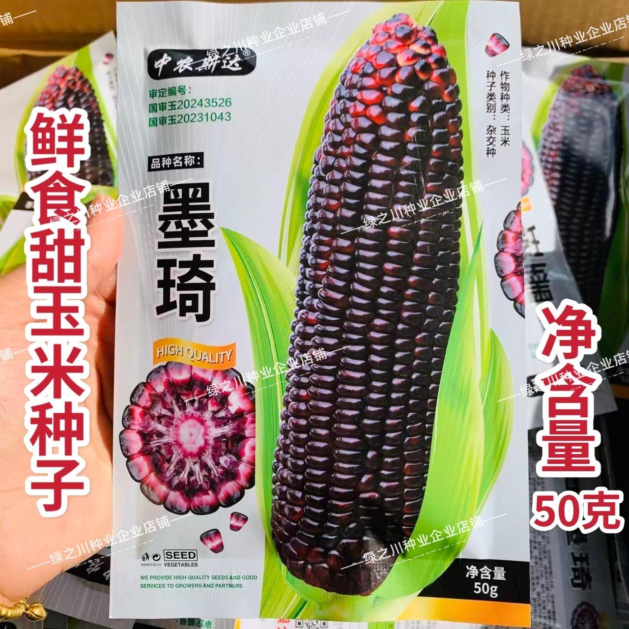 墨琦水果玉米种子黑色甜玉米种籽生吃品种营养丰富春秋鲜食甜玉米