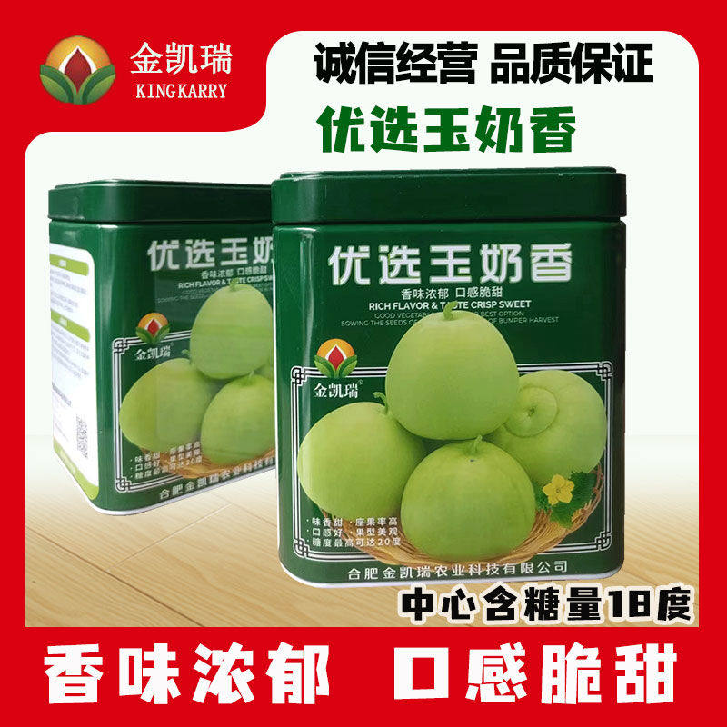 金凯瑞优选玉奶香甜瓜种子早中熟皮绿白色香气浓郁抗病肉白绿抗病