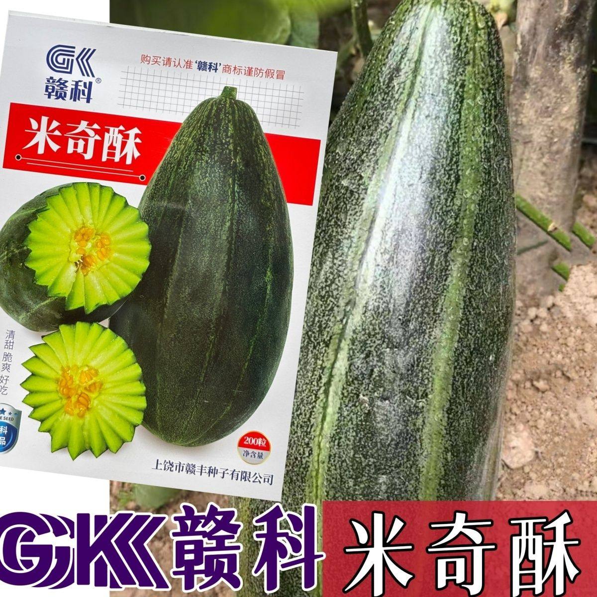 米奇酥甜瓜种子中熟果皮绿色果肉酥脆清甜可口易坐果爬藤水果种子