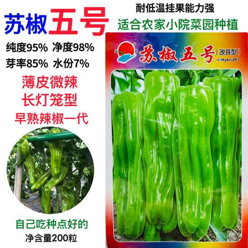 苏椒五号薄皮椒辣椒种子早熟大果抗病高产商品性佳泡椒种籽春秋播