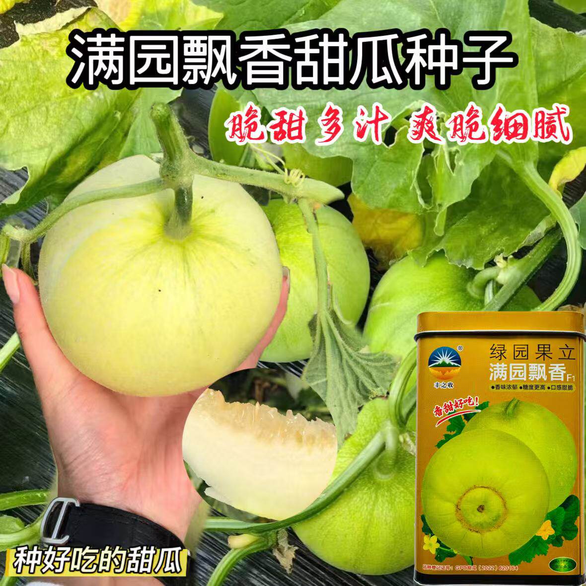 正品绿园果立满园飘香早熟高产长势强抗病耐热庭院正宗甜瓜种子孑