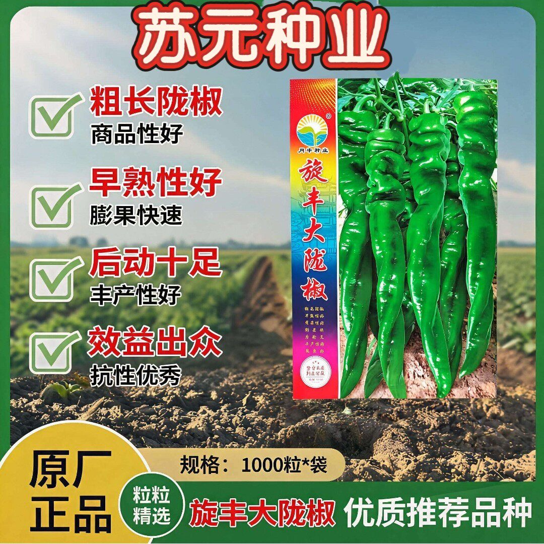 旋丰大陇椒辣椒种子早熟高产抗病耐热耐寒长羊角型螺丝椒籽春秋播