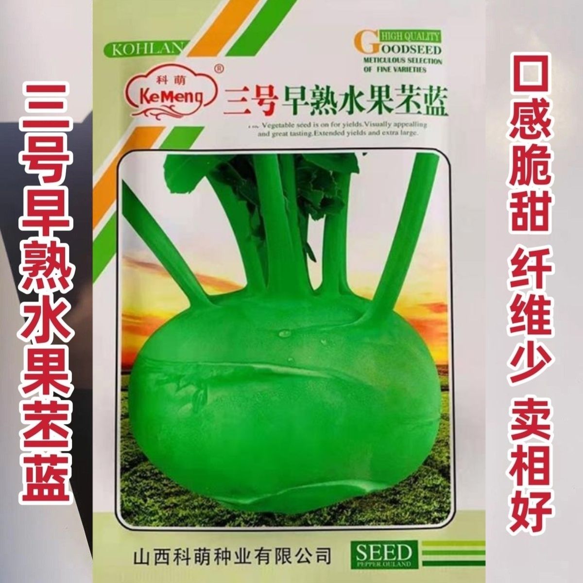 三号早熟水果苤蓝种子扁圆翠绿光亮纤维少肉质脆甜品质佳苤蓝种子