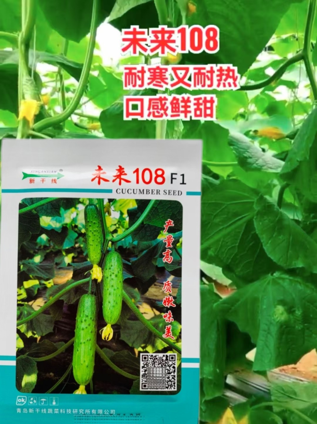 未来108黄瓜种子强雌性耐高温旱黄瓜种子翠绿水果黄瓜春秋播