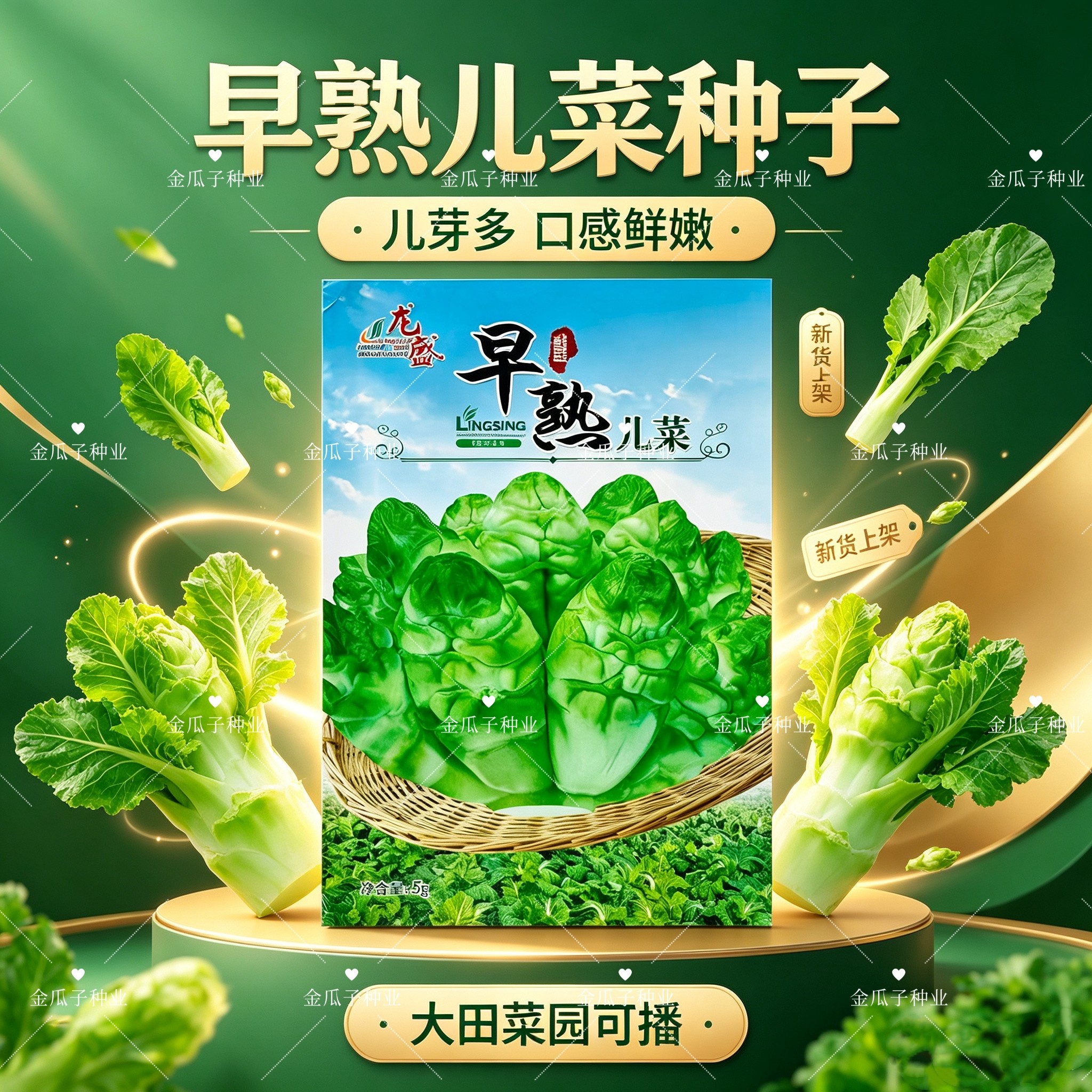 龙盛早熟儿菜种子四川抱子芥菜背儿菜娃娃菜种籽大田耐寒蔬菜种孑