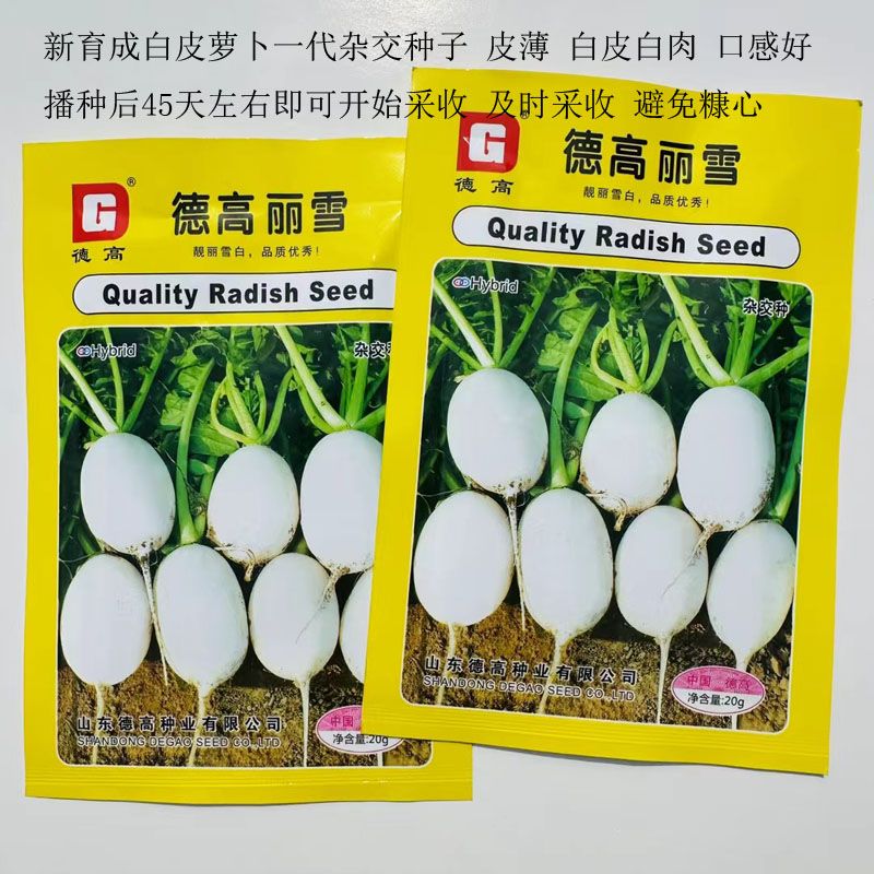 新德高丽雪圆白杂交萝卜种籽香梨萝卜种子白皮白肉口感好春秋季播
