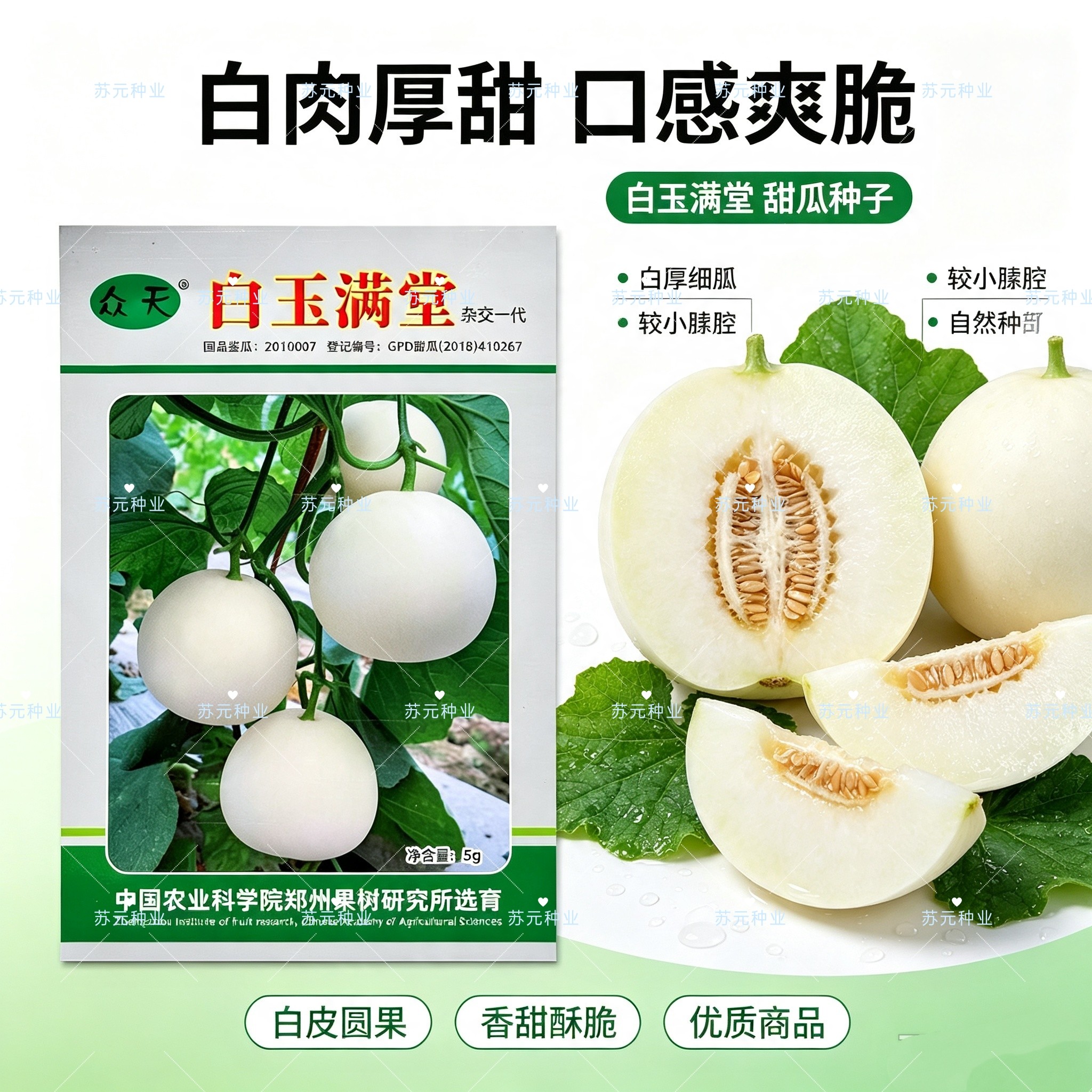 众天白玉满堂甜瓜种子杂交早熟薄皮白皮白肉耐裂香瓜种籽酥脆香甜