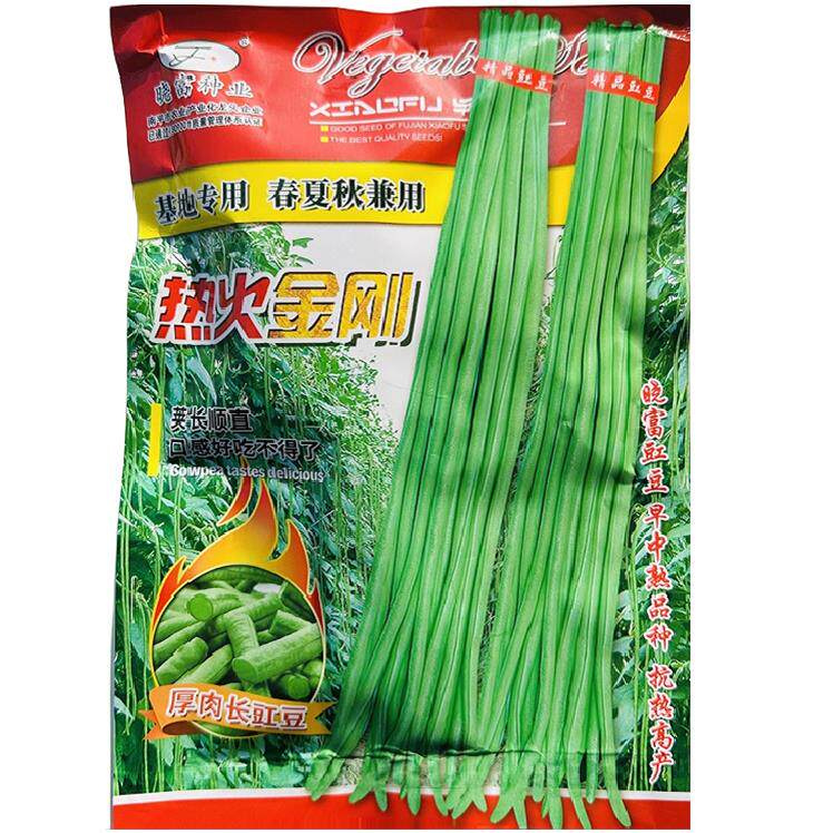 热火金刚豇豆种子抗热嫩绿长豆角种子高产耐热春夏秋季长豇豆种子