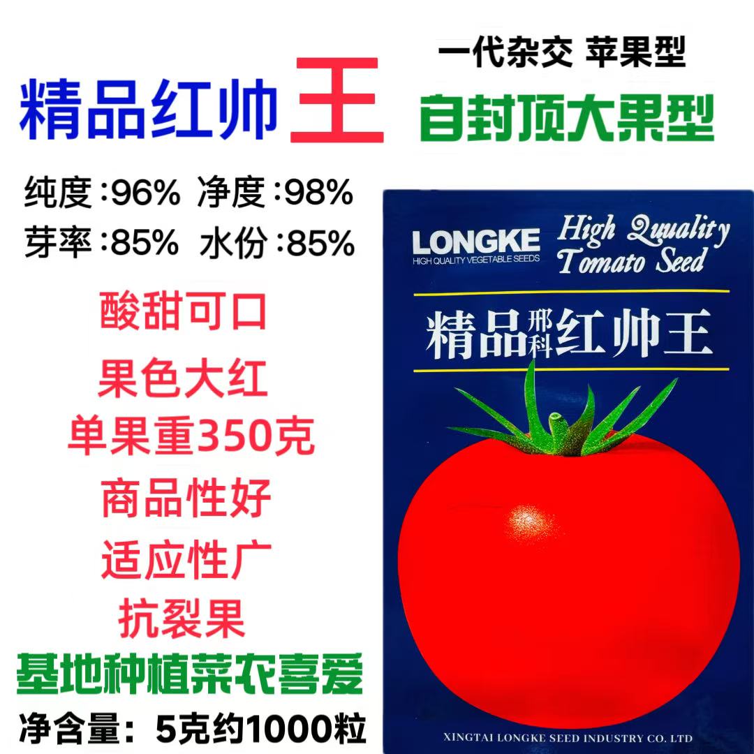 精品红帅王番茄种子大红圆果早熟肉厚抗病西红柿种籽耐贮运春秋播