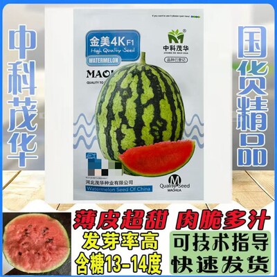 金美4K西瓜种子中小型礼品西瓜种籽红瓤甜脆超甜薄皮手掰糖丸吊瓜