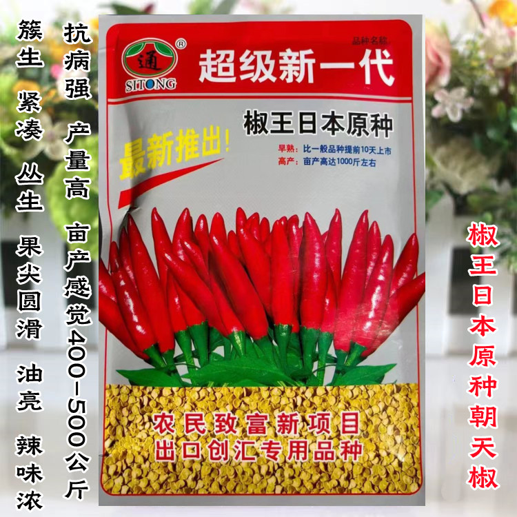 (育苗专用)椒王日本原种辣椒种子朝天椒小米椒超辣早熟农家蔬菜