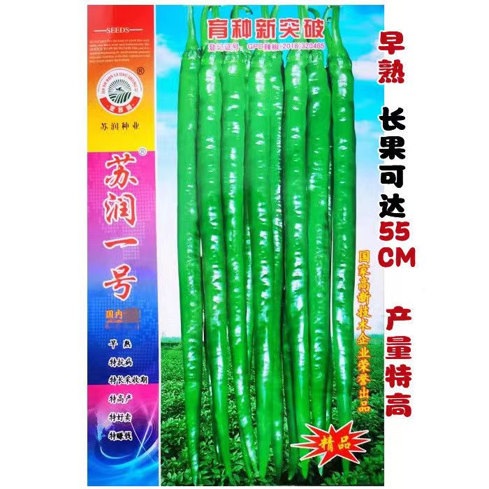 苏润一号线椒高产抗病早熟薄皮