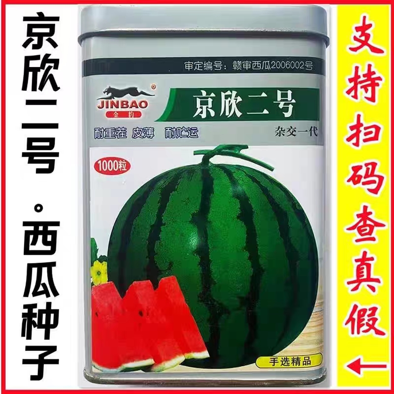 京欣二号西瓜种子早熟耐重茬籽少皮薄易坐果春秋两季播西瓜籽
