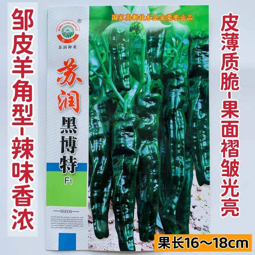 苏润黑博特皱皮辣椒种子 新品种皱皮羊角形味香辣皮薄皱皱辣