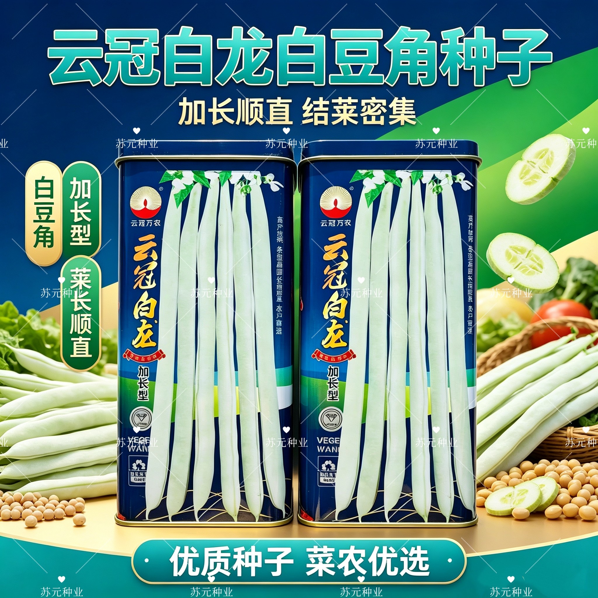 云冠白龙早熟加长型白芸架豆种子嫩荚白绿扁圆型高抗病产量高春秋