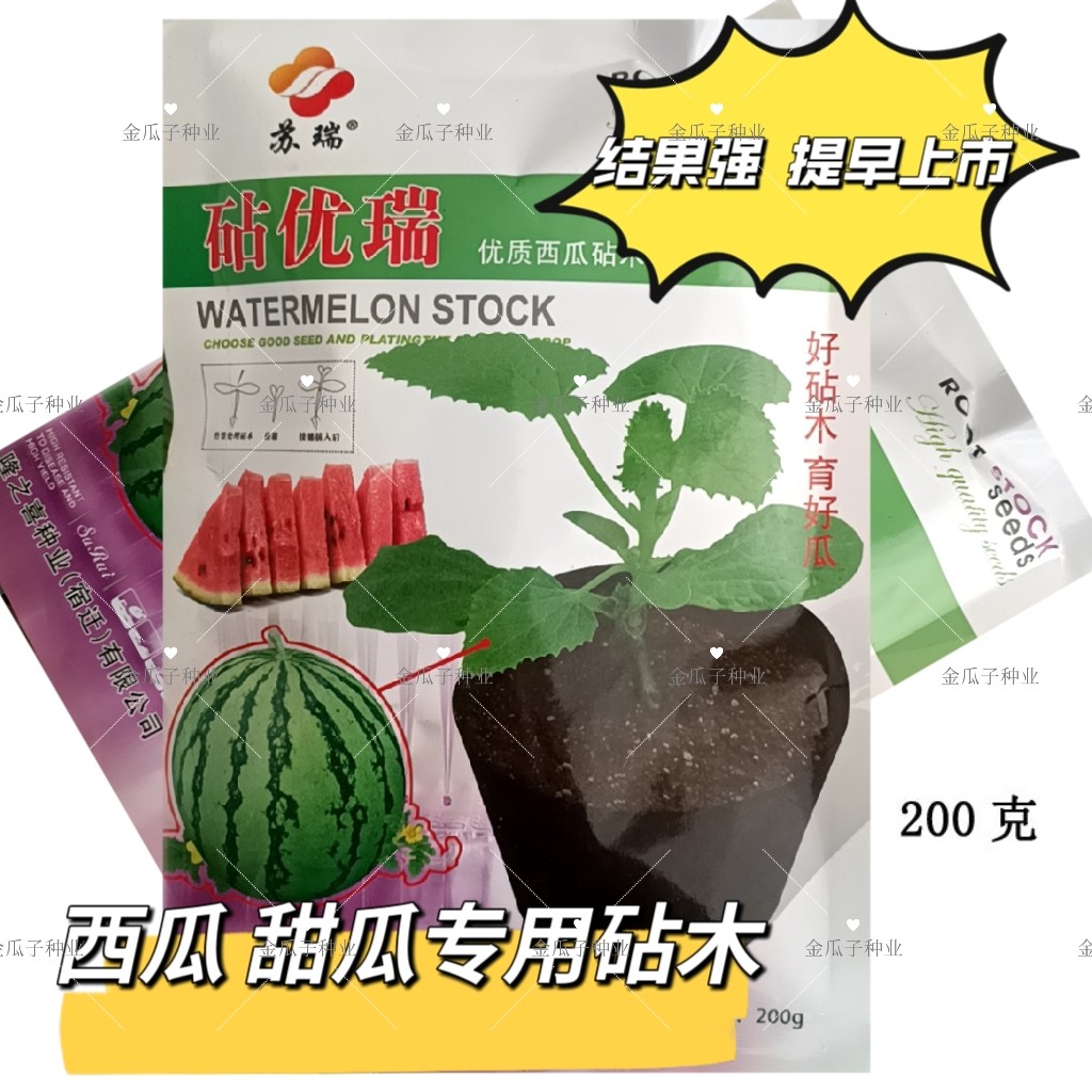 砧优瑞西瓜甜瓜专用砧木种子嫁接西瓜种籽饱满抗病抗重茬亲和力强