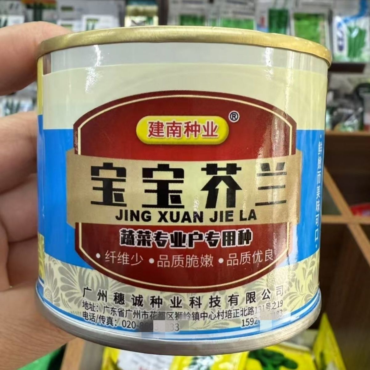 宝宝芥兰菜种籽广东芥蓝菜籽四季高产介兰菜种子青菜籽种蔬菜种孑