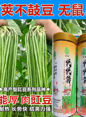代代传肉厚长豆角种子早熟抗病无鼠尾不易老化油亮翠绿色豇豆种籽