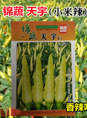 绵蔬天宇单生朝天椒种子辣味浓泡椒黄色尖椒抗逆农家春秋辣椒种籽