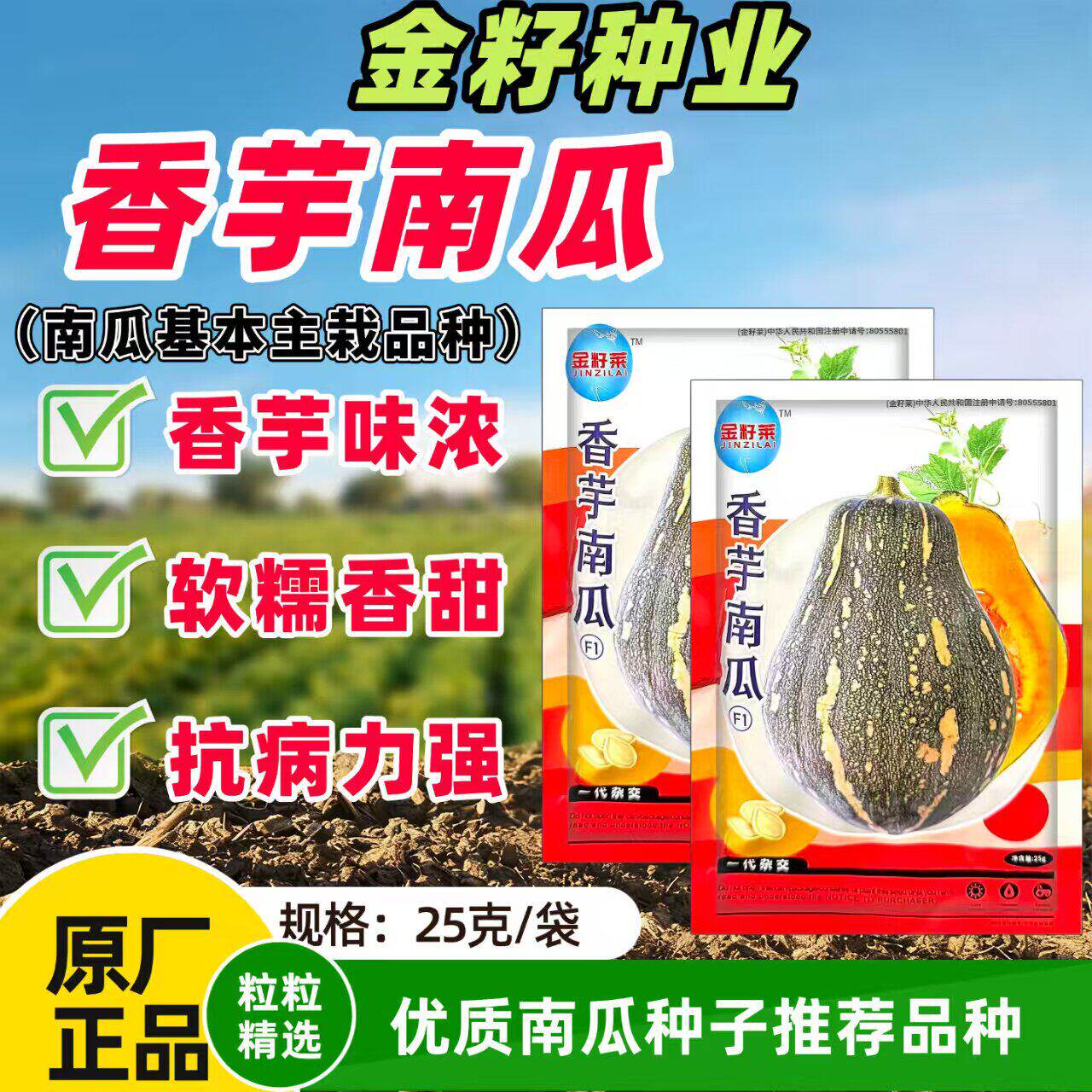 香芋南瓜种子香芋味早熟高产密本南瓜种籽子香甜粉糯蔬菜种子