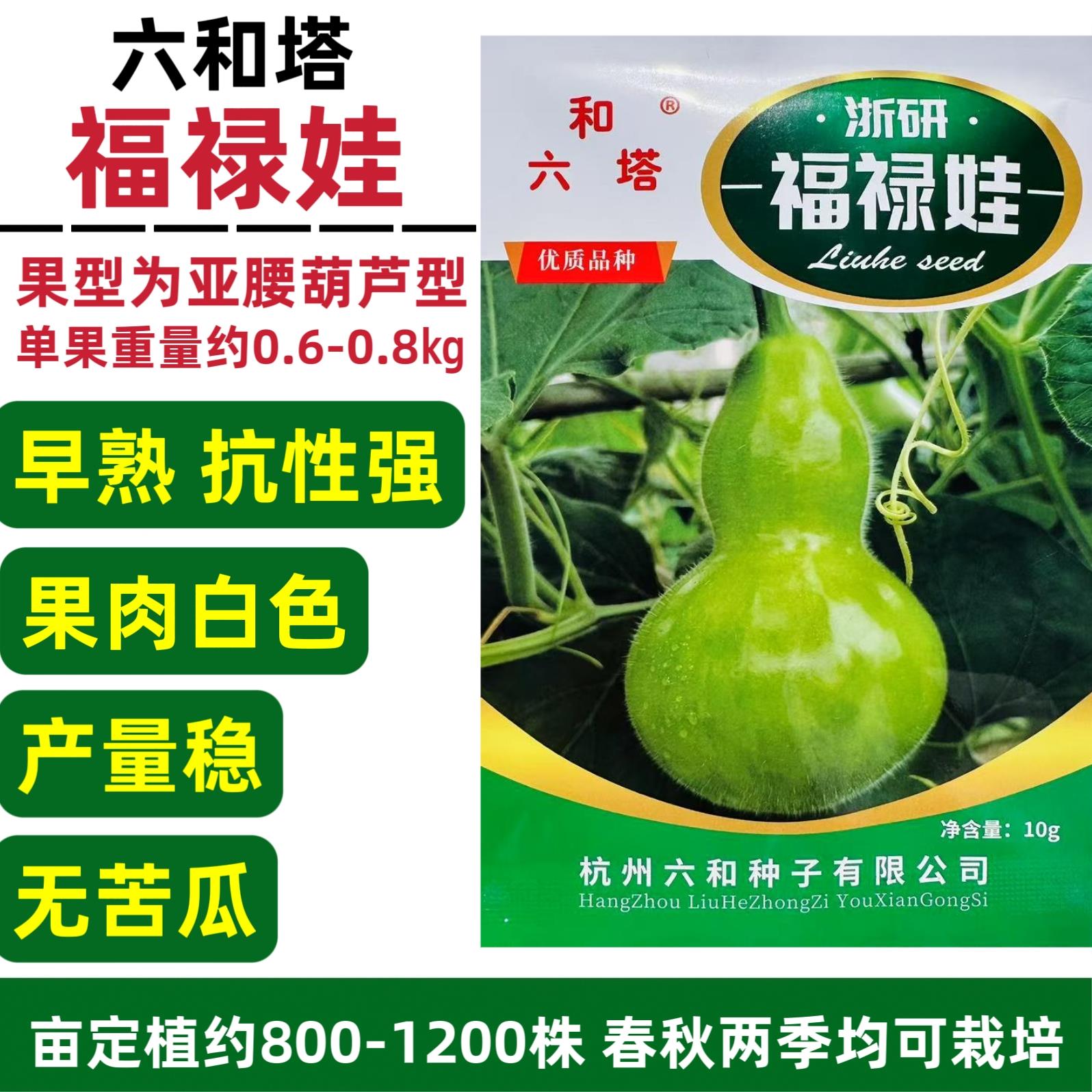浙研福禄娃葫芦种子亚腰葫芦种籽杂交束腰葫芦种子农家春秋季播