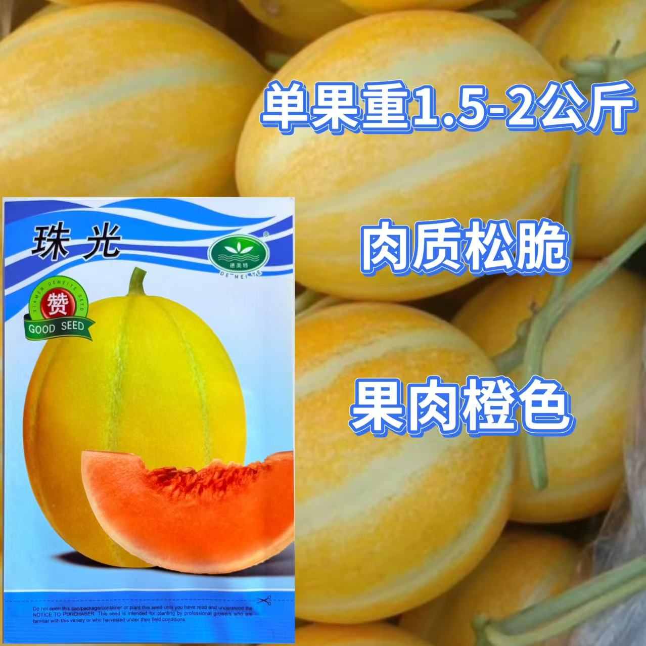 珠光甜瓜种子果实高球至椭圆形金黄皮果肉橙色肉质松脆高糖香瓜籽