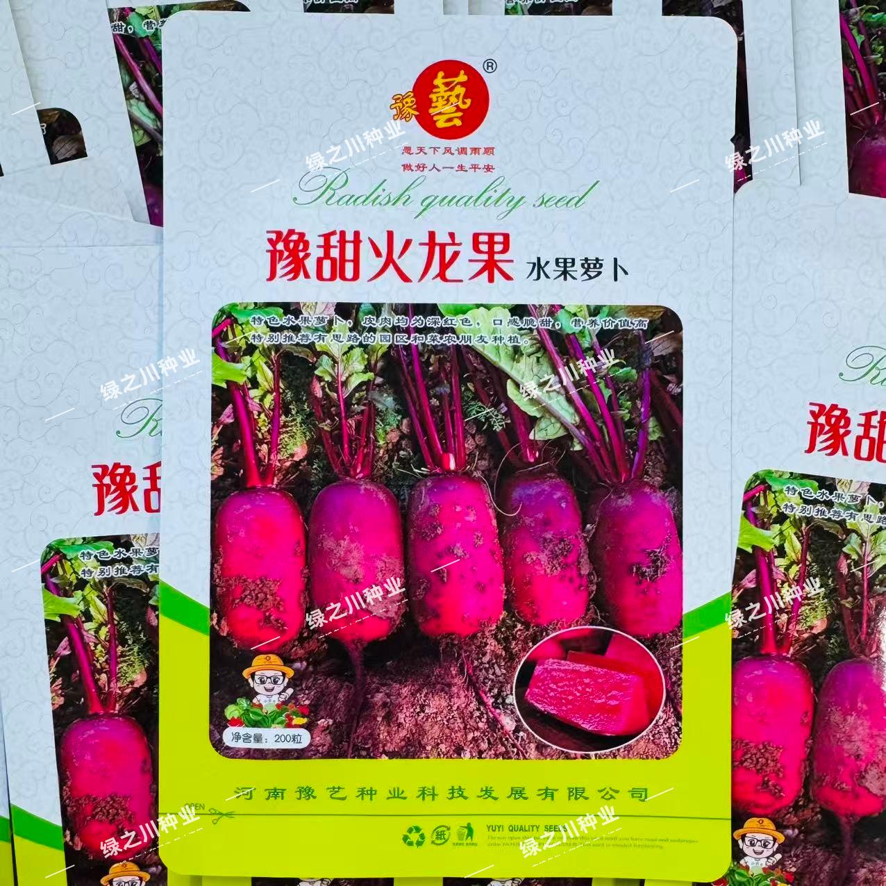豫甜火龙果水果萝卜种子红皮红心萝卜种籽脆甜多汁凤梨萝卜种子