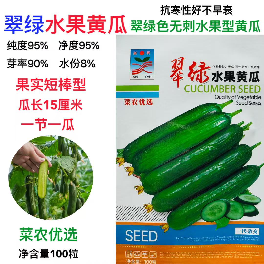 翠绿水果黄瓜种子少刺型全雌水果黄瓜种籽耐热耐低温弱光高产抗病