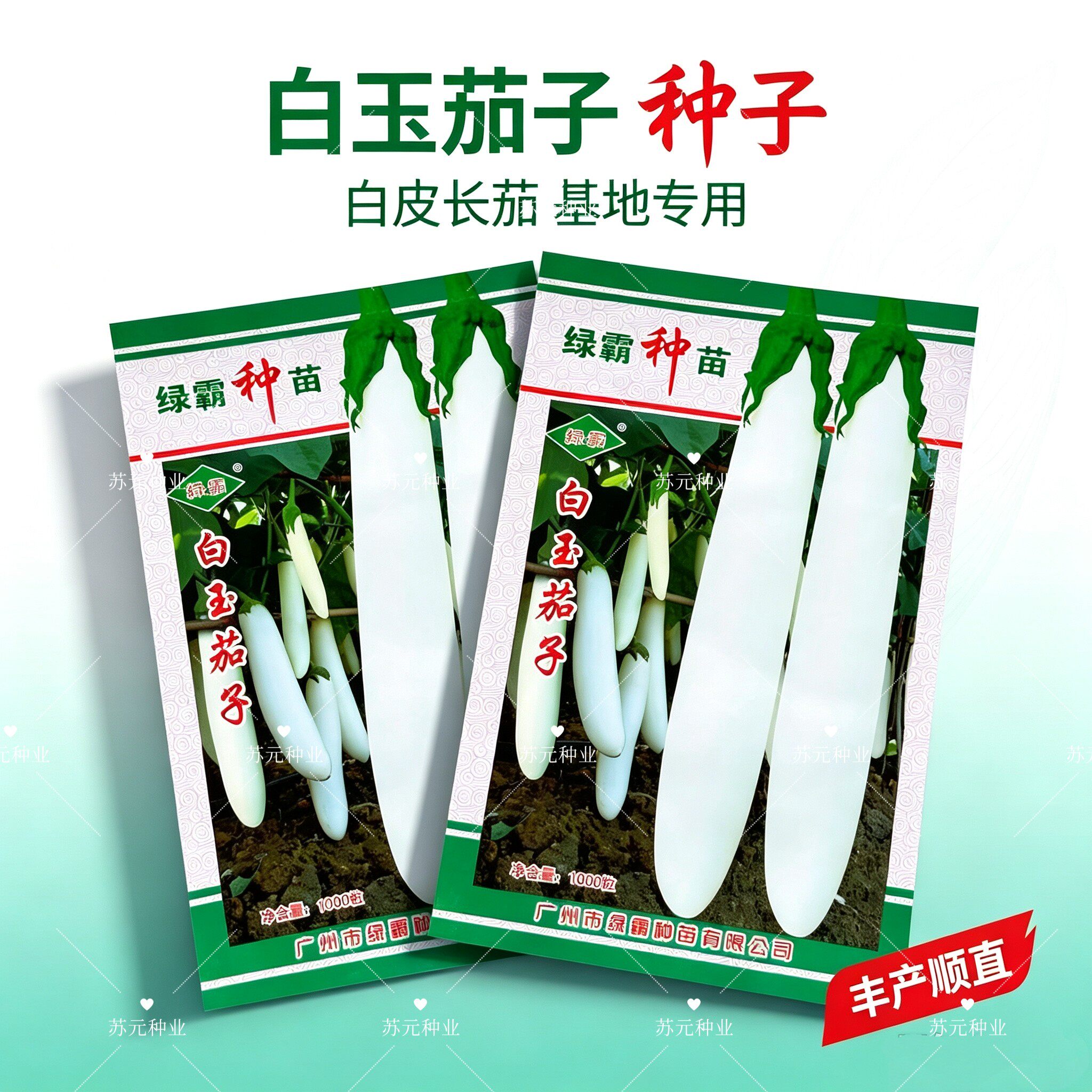 绿霸白玉茄子种籽早熟高产白长茄子种籽皮薄肉厚白色茄子细嫩软滑