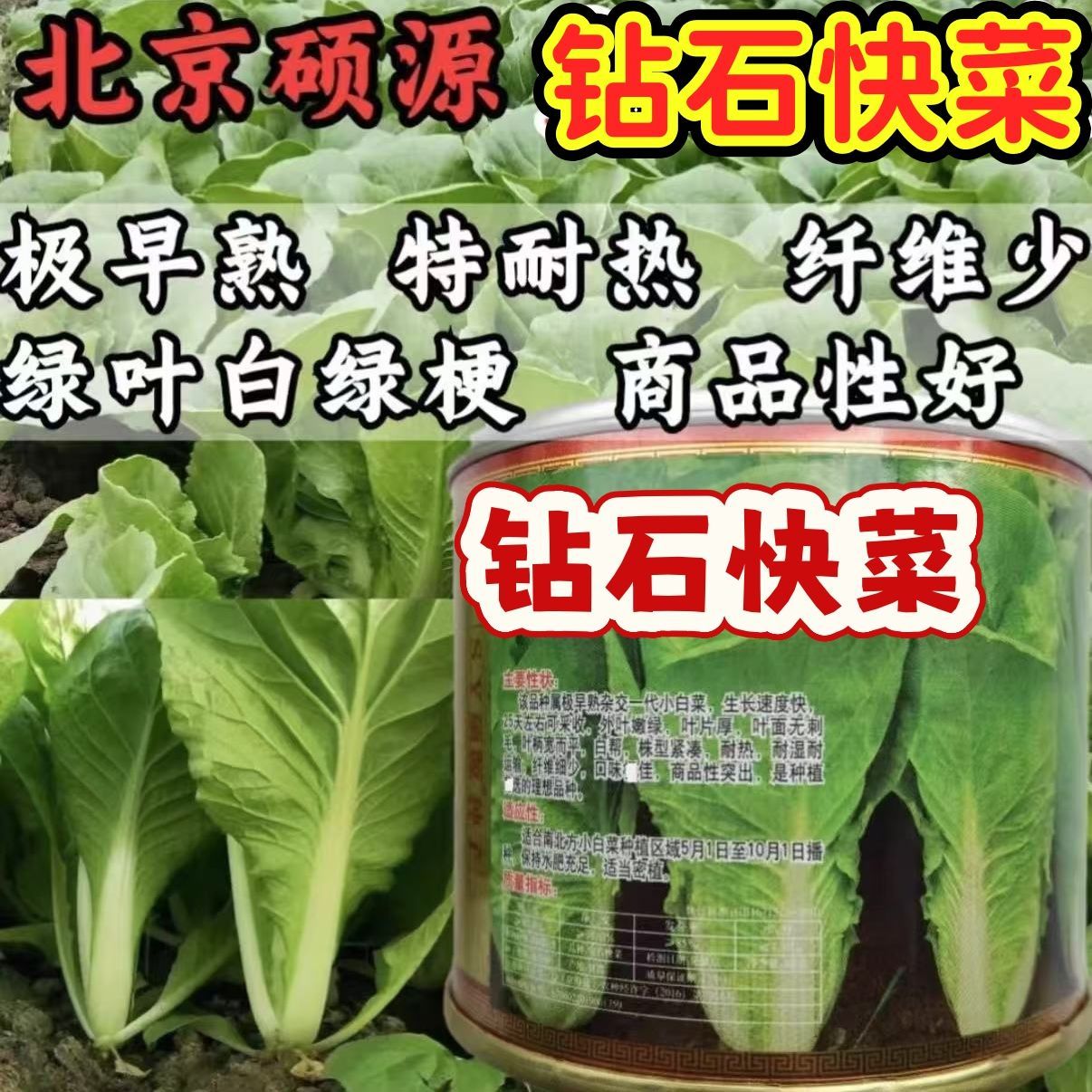 钻石快菜种子耐热耐湿抗病强口感脆甜白菜小白菜种籽南北春秋季播