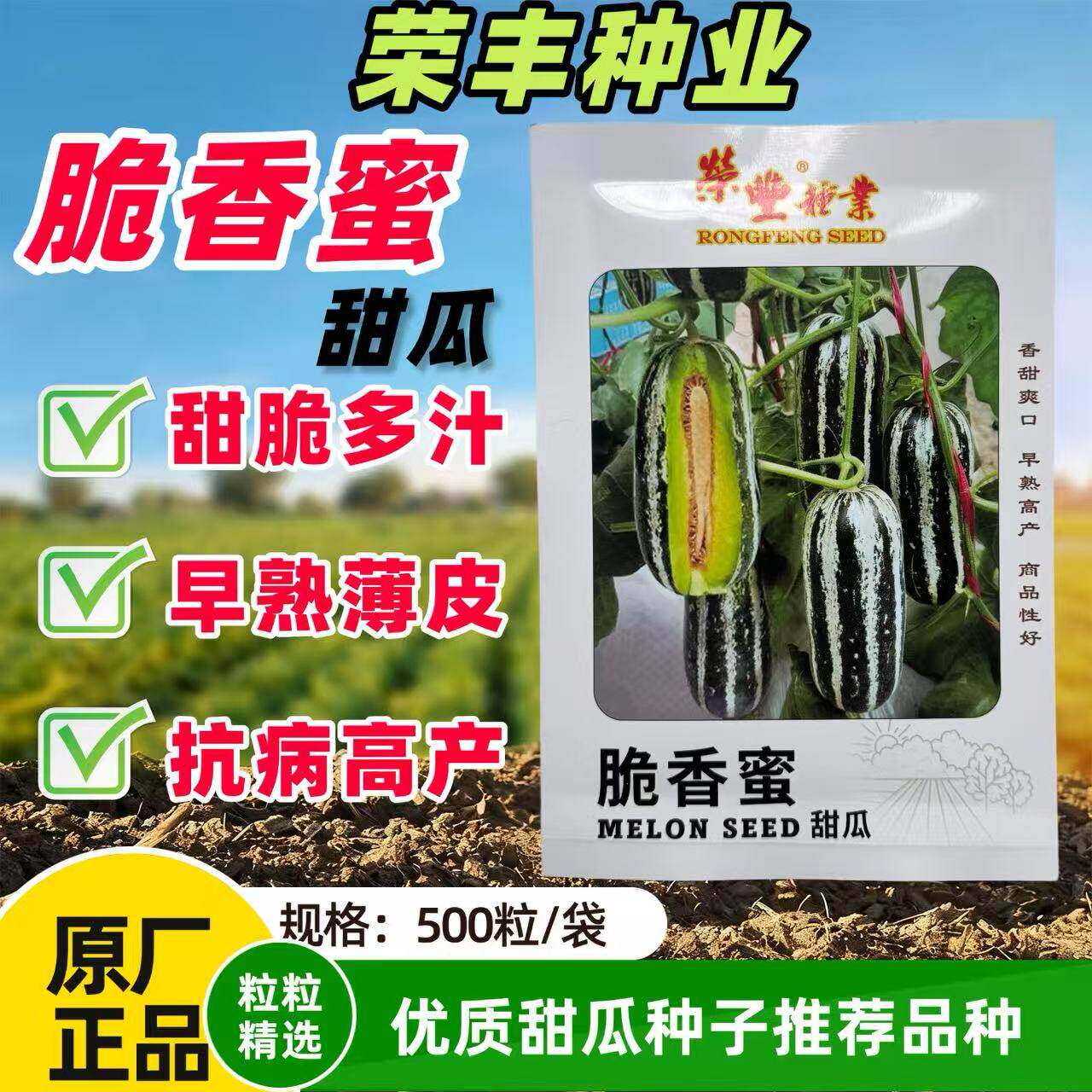 脆香蜜薄皮杂交甜瓜种子厚肉黄绿色桔红腔果肉酥脆香甜芝麻蜜种子