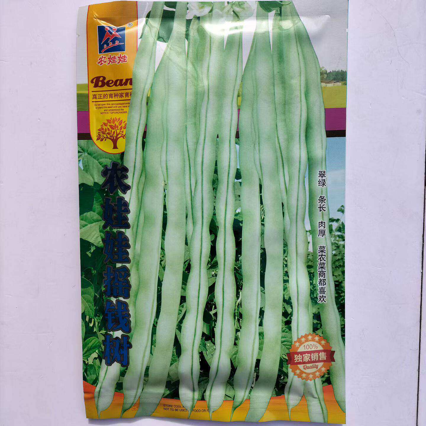 摇钱树架豆种子中熟四季豆种籽豆荚嫩白绿厚肉春秋菜豆种籽