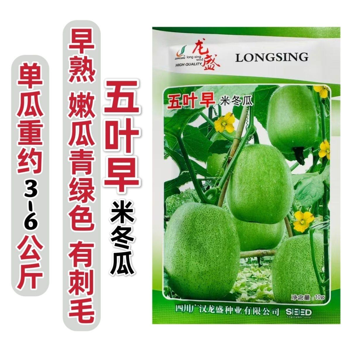 四川地方品种五叶早米冬瓜种子早熟春播绿皮小冬瓜种子肉厚腔高产