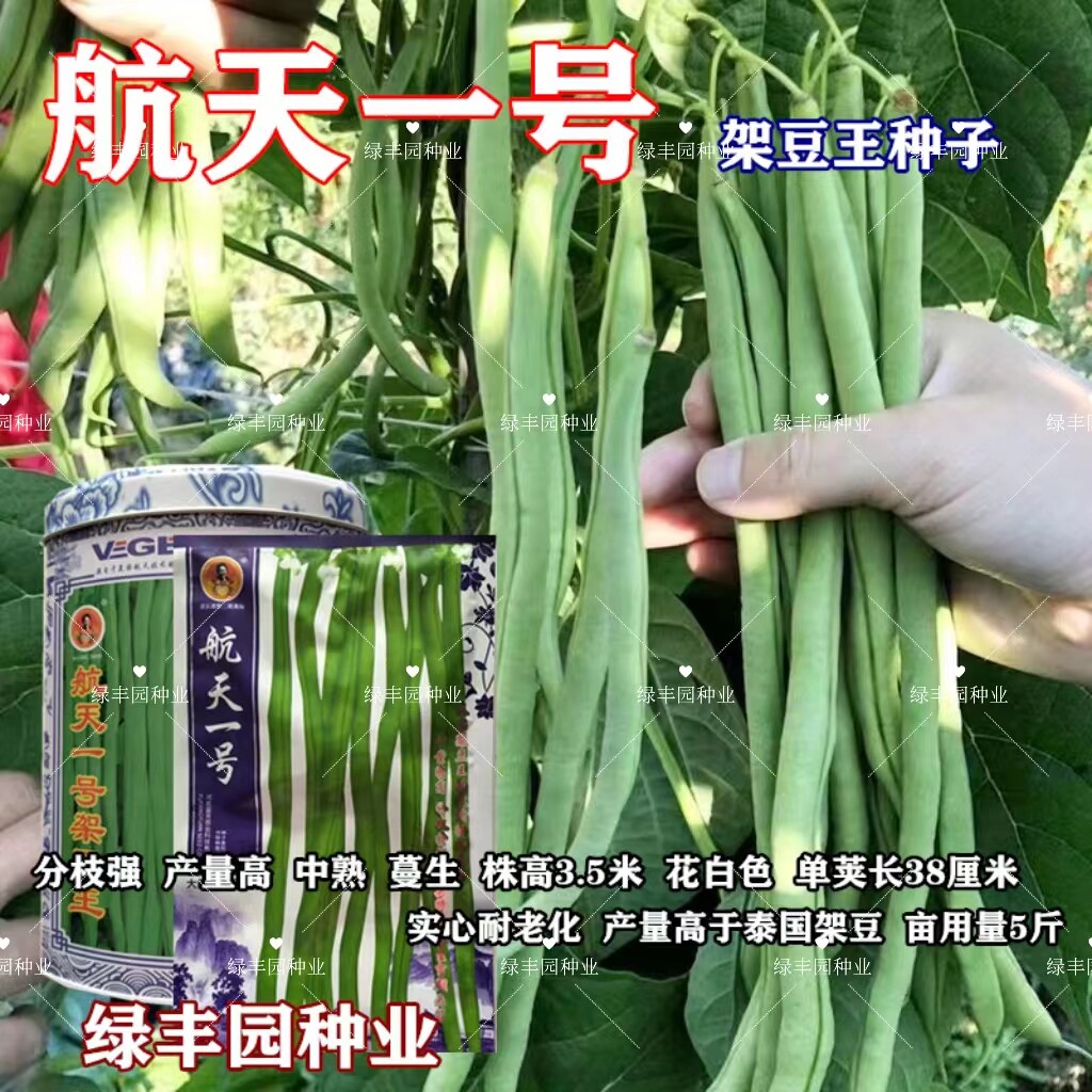 精选航天一号菜豆种子泰国无筋架豆王种籽长豆角蔬菜种籽春秋架豆