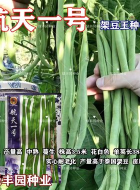 精选航天一号菜豆种子泰国无筋架豆王种籽长豆角蔬菜种籽春秋架豆