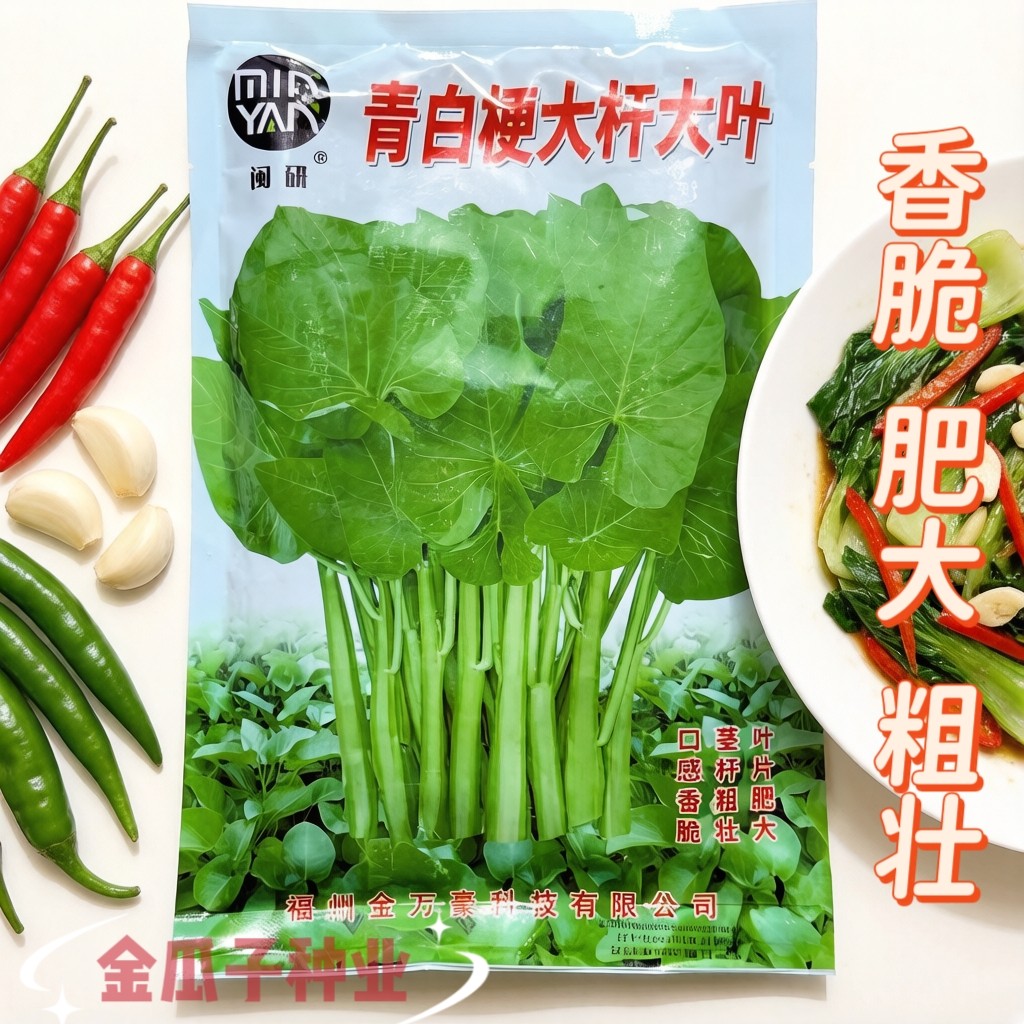 青白梗大杆大叶空心菜种子叶柄浅绿梗大叶多茬通心菜蕹菜藤菜春播